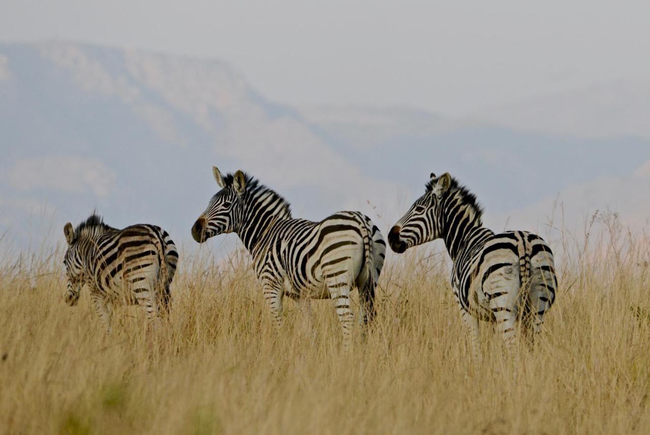 Vila Tomjachu Bush Retreat Mbombela Exteriér fotografie